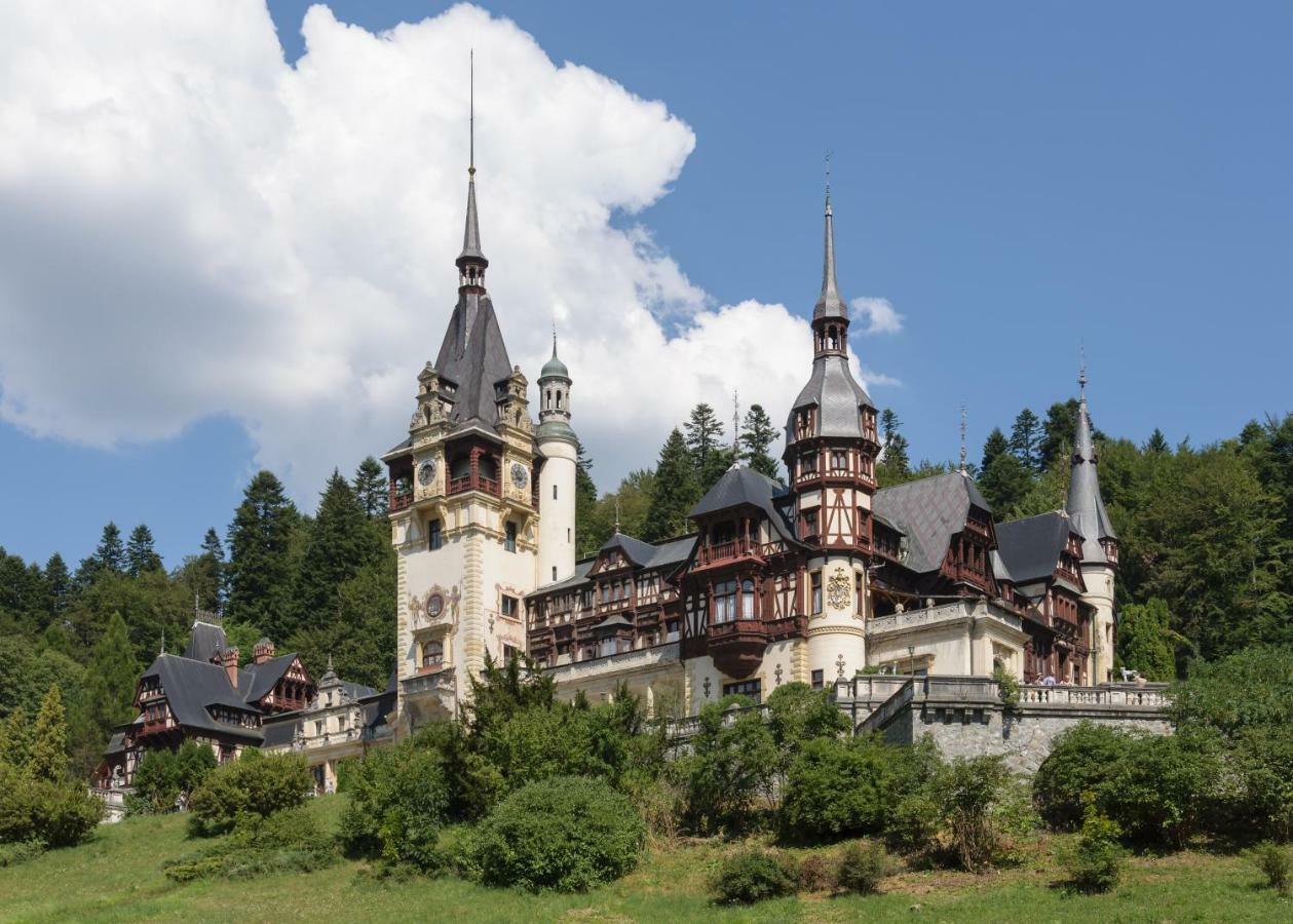 Apartament Mont Blanc Sinaia Exteriör bild